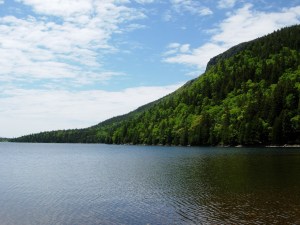Restaurant on the far, distant left.