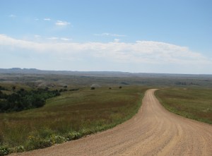 IMG_7519